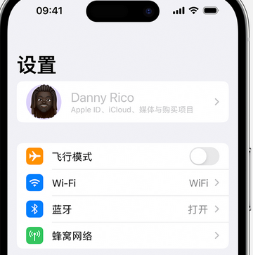 巴里坤appleID维修服务iPhone设置中Apple ID显示为灰色无法使用 