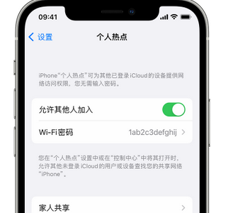 巴里坤apple服务站点分享iPhone上个人热点丢失了怎么办 