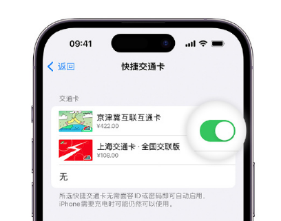 巴里坤apple维修点分享iPhone上更换Apple Pay快捷交通卡手绘卡面 