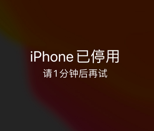 巴里坤苹果手机维修分享:iPhone 显示“不可用”或“已停用”怎么办？还能保留数据吗？ 