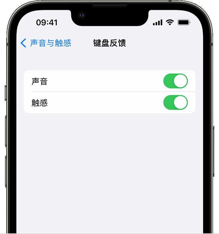 巴里坤苹果14维修店分享如何在 iPhone 14 机型中使用触感键盘 