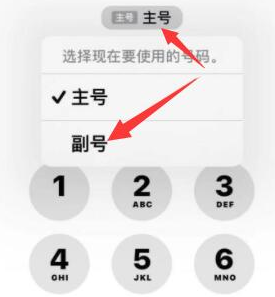 巴里坤苹果14维修店分享iPhone 14 Pro Max使用副卡打电话的方法 