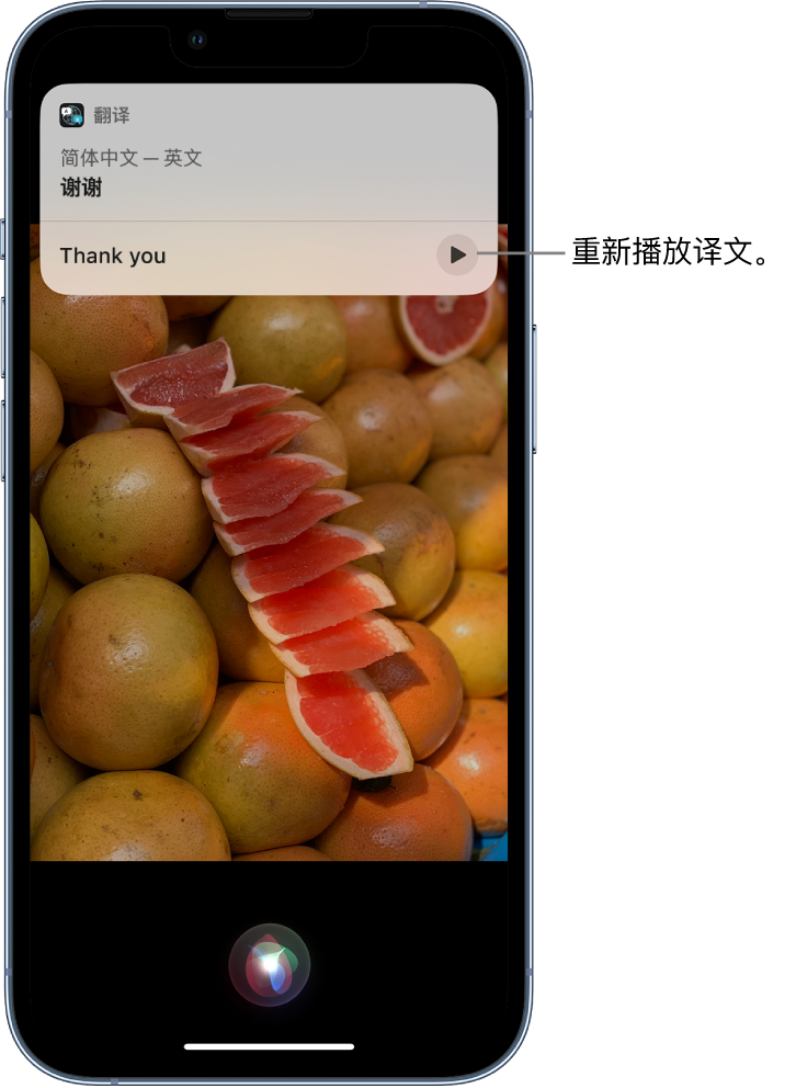 巴里坤苹果14维修分享 iPhone 14 机型中使用 Siri：了解 Siri 能帮你做什么 