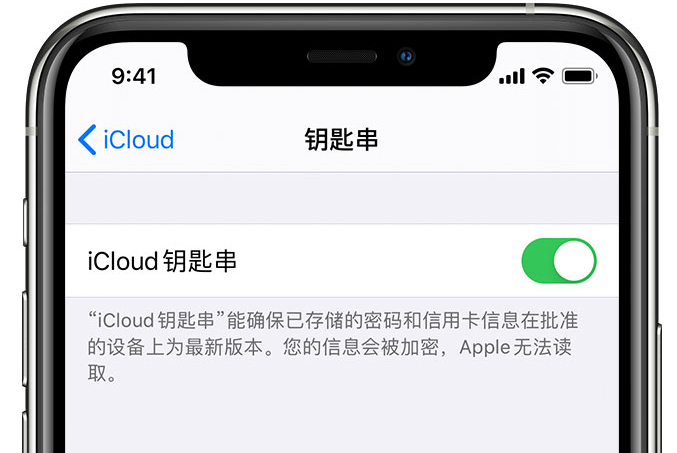 巴里坤苹果手机维修分享在 iPhone 上开启 iCloud 钥匙串之后会储存哪些信息 