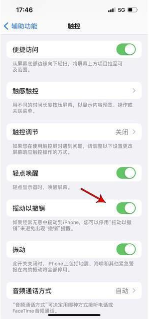 巴里坤苹果手机维修分享iPhone手机如何设置摇一摇删除文字 