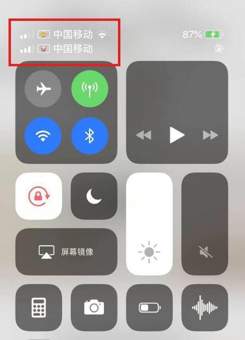 巴里坤苹果手机维修分享为 iPhone 12 双卡设置标签 